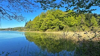 Lac du Grand Maclu null