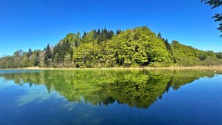 Lac du Grand Maclu null