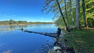 Lac du Grand Maclu null