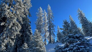 Col du Marchairuz - Grand Cunay null