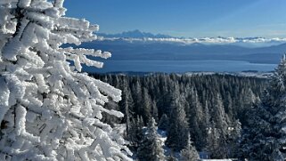Col du Marchairuz - Grand Cunay null