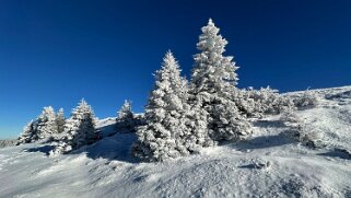 Col du Marchairuz - Grand Cunay null