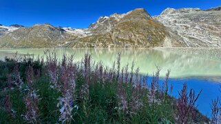 Mattmark - Monte-Moro-Pass null