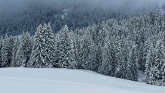 La Lécherette - Monts Chevreuils null
