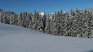La Lécherette - Monts Chevreuils null