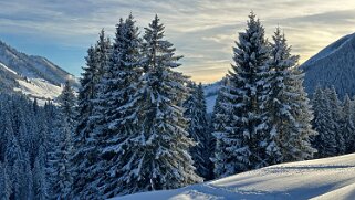 La Lécherette - Monts Chevreuils null