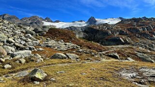 Glacier de Ruitor null