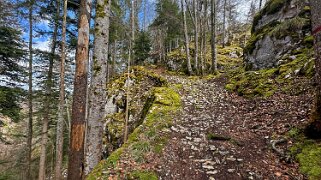 Les Brenets - Saut du Doubs null
