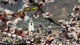 Saxon - Charrat null