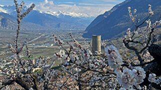 Saxon - Charrat null