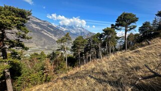 Saxon - Charrat null