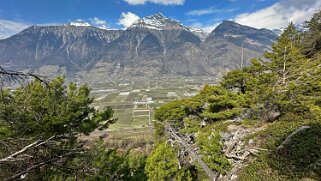 Saxon - Charrat null