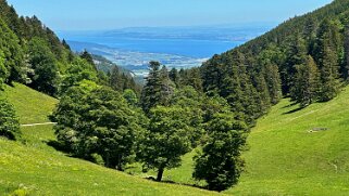 Tour du Suchet null