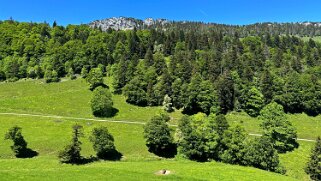 Tour du Suchet null