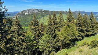 Tour du Suchet null
