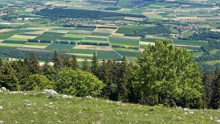 Tour du Suchet null