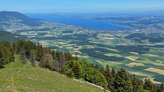 Tour du Suchet null