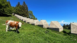 Tour du Suchet null