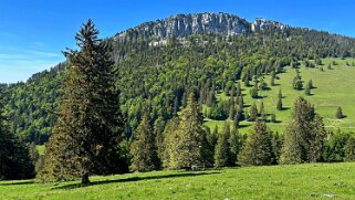 Tour du Suchet null