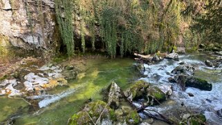 La Tine de Conflens null