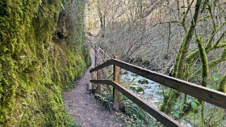 La Tine de Conflens null