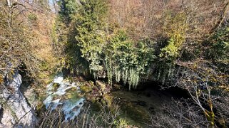 La Tine de Conflens null