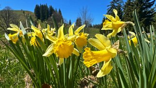 Col de la Vue des Alpes - Tête de Ran null