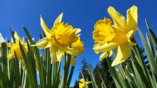 Col de la Vue des Alpes - Tête de Ran null