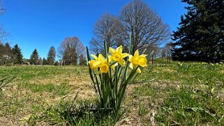 Col de la Vue des Alpes - Tête de Ran null