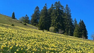 Col de la Vue des Alpes - Tête de Ran null