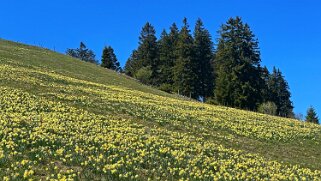 Col de la Vue des Alpes - Tête de Ran null