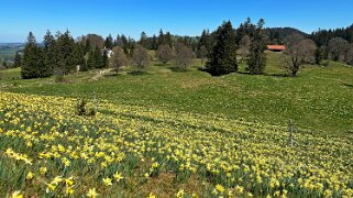 Col de la Vue des Alpes - Tête de Ran null