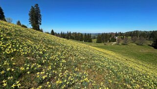 Col de la Vue des Alpes - Tête de Ran null