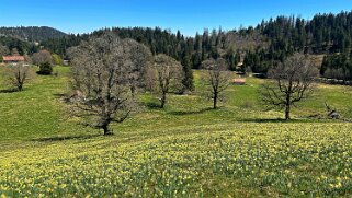 Col de la Vue des Alpes - Tête de Ran null