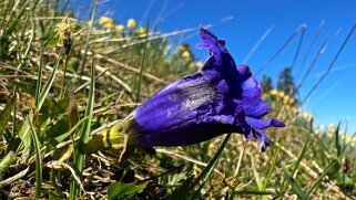 Col de la Vue des Alpes - Tête de Ran null