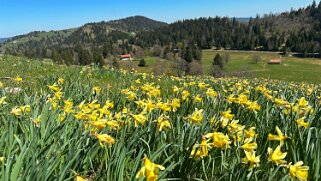 Col de la Vue des Alpes - Tête de Ran null
