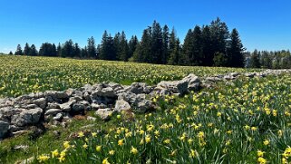 Col de la Vue des Alpes - Tête de Ran null
