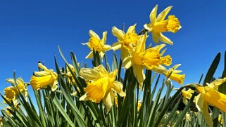 Col de la Vue des Alpes - Tête de Ran null