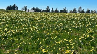 Col de la Vue des Alpes - Tête de Ran null