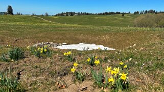 Col de la Vue des Alpes - Tête de Ran null