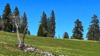 Col de la Vue des Alpes - Tête de Ran null