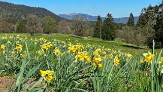 Col de la Vue des Alpes - Tête de Ran null