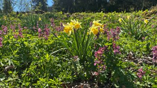 Col de la Vue des Alpes - Tête de Ran null