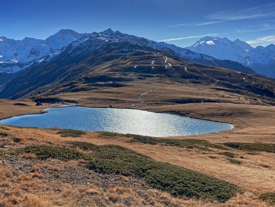 Gspon - Visperterminen 2020 Valais - Suisse