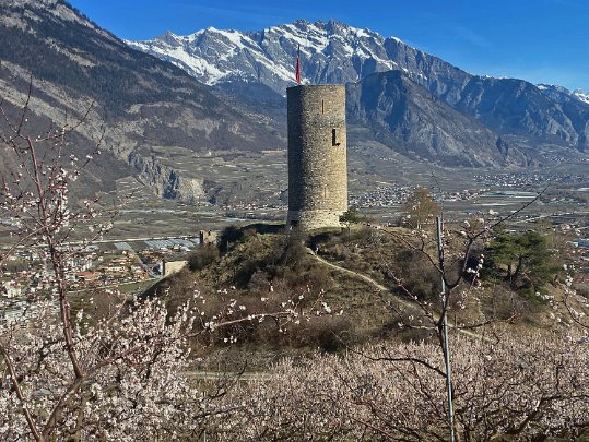 Autour de Saxon 2021 Valais - Suisse