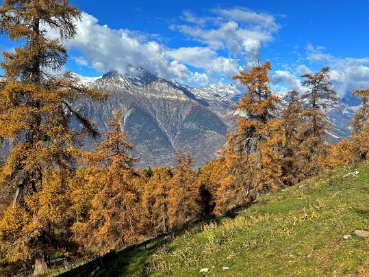 Col des Planches - La Crevasse 2025 Valais - Suisse