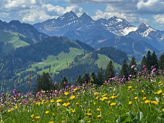 La Valsainte - La Berra 2025 Fribourg - Suisse