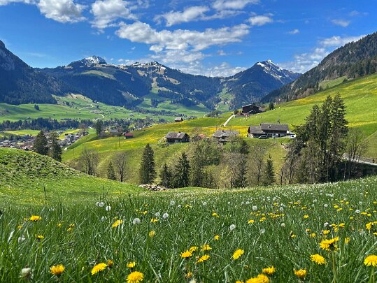 Rossinière - Rougemont 2025 Vaud - Suisse