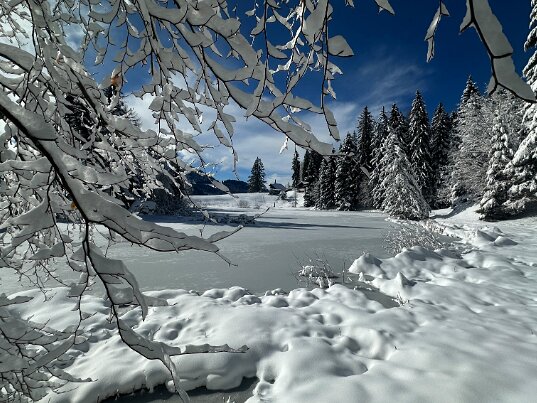 Tour de Corbetta 2026 Fribourg - Suisse