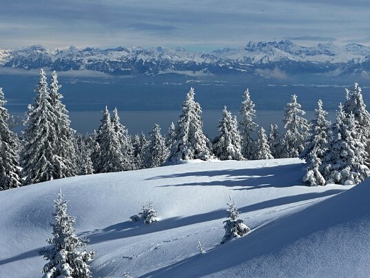 Col du Marchairuz - Cunay 2026 Vaud - Suisse